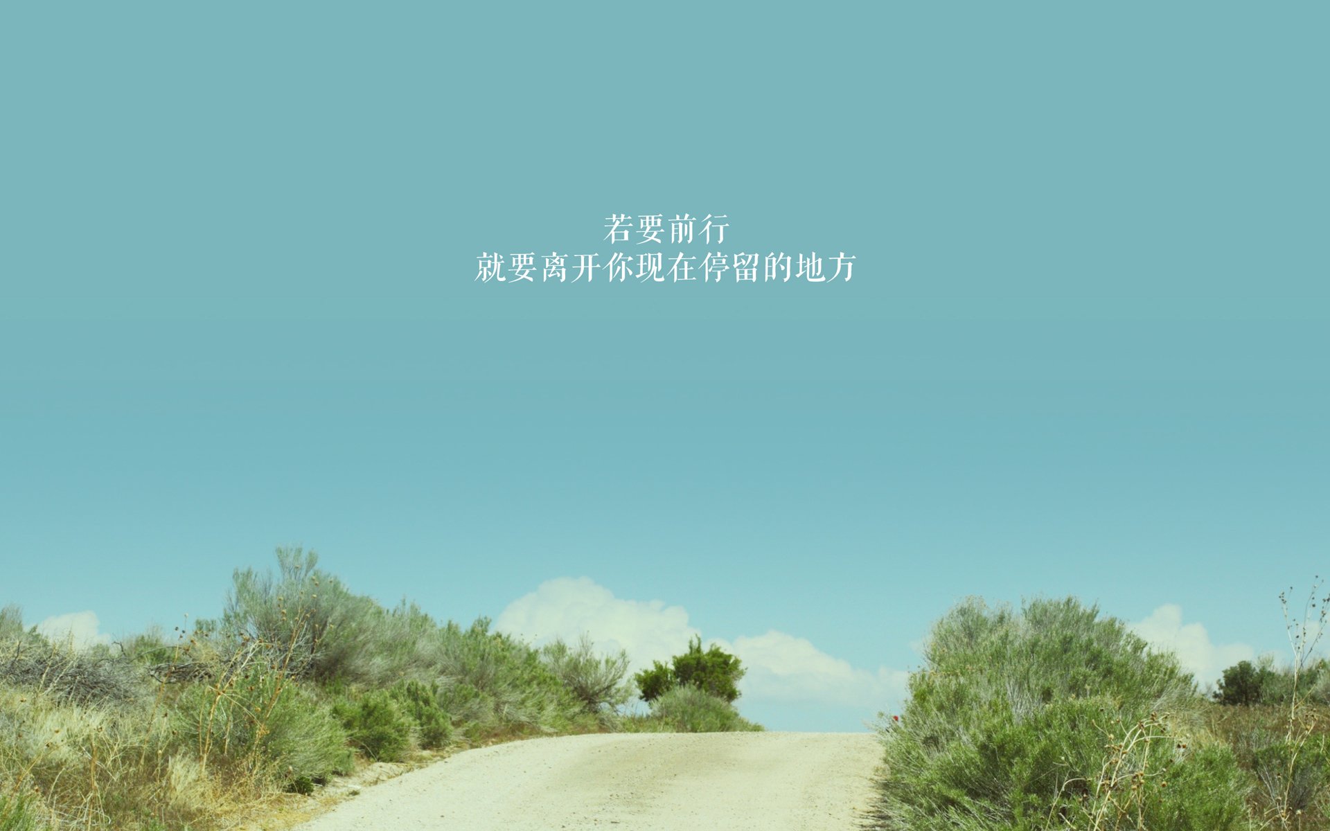 世界拳击超级夜：青年拳手商业化推动赛事生态革新，拳击世界级比赛